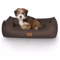 Knuffelwuff AMZBOLLE-3 Oreiller pour animaux de compagnie