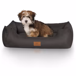 Knuffelwuff Dreamline Lit traversin pour animaux de compagnie