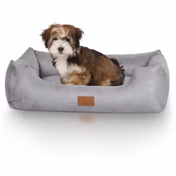 Knuffelwuff Dreamline Lit traversin pour animaux de compagnie