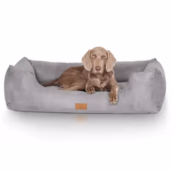 Knuffelwuff Dreamline Lit traversin pour animaux de compagnie