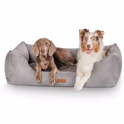 Knuffelwuff Dreamline Lit traversin pour animaux de compagnie