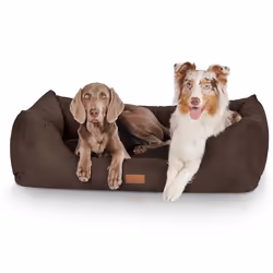 Knuffelwuff DreamlinePanier Lit Coussin Corbeille pour chien marron XL 105 x 75cm