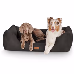 Knuffelwuff Dreamline Lit traversin pour animaux de compagnie