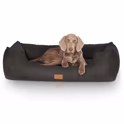 Knuffelwuff Dreamline Lit traversin pour animaux de compagnie