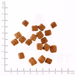 Wolfsblut WB761187 Alimentation sèche pour chiens 2 kg Adulte Canard, Pomme de terre