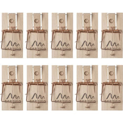 Gardigo - Piège à souris Holz Schlagfalle 10 pc(s) W957833