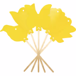 enquête Pour les parasites de plantes d'intérieur Piège à jaune sans poison Attire par la couleur jaune qui attire de nombreu ...