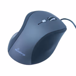 MediaRange MROS202 souris Droitier USB Type-A Optique 2400 DPI