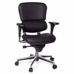 Siège de direction de luxe  - hjh OFFICE - ERGOHUMAN BASE - Noir - cuir