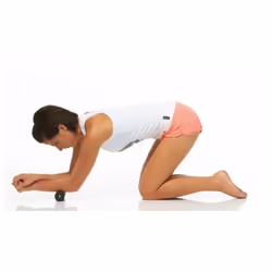 Blackroll Mini Rouleau de massage - Vue supplémentaire 3