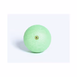 Blackroll Ball 08