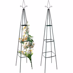 Support pour Plantes Grimpantes - ANATERRA - Lot de 2 - Acier Inoxydable - 195x35x35cm - Jardin Extérieur