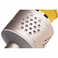 Technaxx PRO BT-X35 Or, Argent Microphone de karaoké