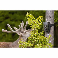 Technaxx TX-160 CMOS 25,4 / 3,2 mm (1 / 3.2") Vision nocturne Camouflage 3840 x 2160 pixels - Vue supplémentaire 5