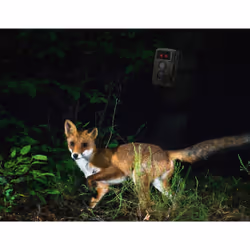 Technaxx TX-160 CMOS 25,4 / 3,2 mm (1 / 3.2") Vision nocturne Camouflage 3840 x 2160 pixels - Vue supplémentaire 6