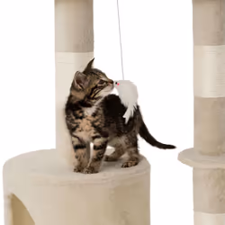TecTake 401434 maison pour chat