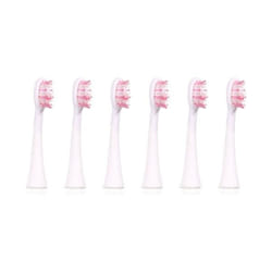 Ailoria 50349413 tête de brosses 6 pièce(s) Blanc