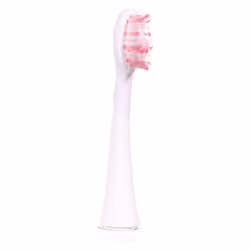 Ailoria 50349413 tête de brosses 6 pièce(s) Blanc