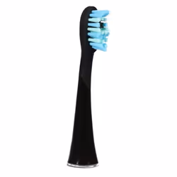 Ailoria 50349414 tête de brosses 6 pièce(s) Noir