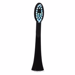 Ailoria 50349414 tête de brosses 6 pièce(s) Noir