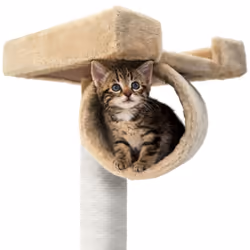 TecTake 401854 maison pour chat - Vue supplémentaire 7