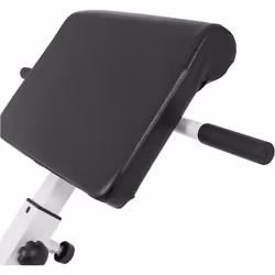 Gorilla Sports 100772-00022-0001 banc de musculation