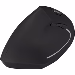 Inter-Tech KM-206L souris Ambidextre RF sans fil Optique 1600 DPI