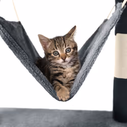 TecTake 402275 maison pour chat - Vue supplémentaire 4