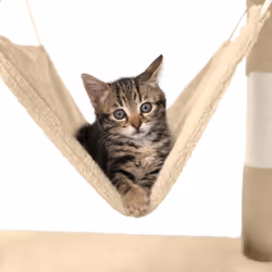 TecTake 402279 maison pour chat - Vue supplémentaire 4