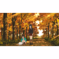KSM GmbH K5250 Film DVD Allemand, Japonais