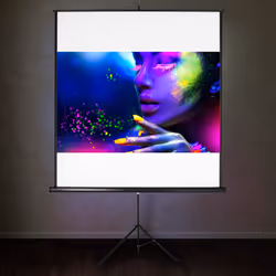 TecTake 402515 écran de projection