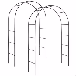 Lot de 2 Arches de jardin à roses en Acier Résistant aux intempéries
