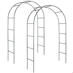 Lot de 2 Arches de jardin à roses en Acier Résistant aux intempéries