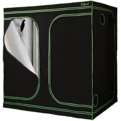 Zelsius - Tente de culture 240 x 120 x 200 cm noir/vert Culture de plantes en intérieur