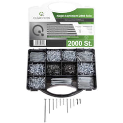 2103SA044 Assortiment de clous Contenu 2000 pc(s) - Quadrios