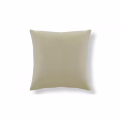REMEMBER Cambridge Coussin décoratif
