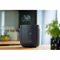 Lauben LBNRCD1500AT cuiseur à riz 1,5 L 500 W Noir