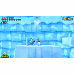 ININ Games Wonder Boy : Asha In Monster World Standard Nintendo Switch