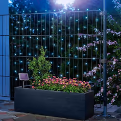 Cette guirlande solaire de 100 leds d'une belle couleur froid, autonome, facile à installer, vous permettra de créer de belle ...