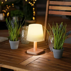 Esotec - Solar Lampe de table harmony aspect bois Module solaire akku outdoor IP44 102912