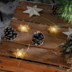 Esotec - led Guirlande lumineuse solaire extérieure résistante aux intempéries 30 cristaux de glace LIFEPO4 blanc chaud