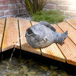 Gargouille avec pompe solaire poisson Figure de bassin Figure de jardin H=22cm 101665 - Esotec