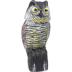 Gardigo - repousseur doiseaux eule, owl 60102 effet dissuasif 1 pc(s)
