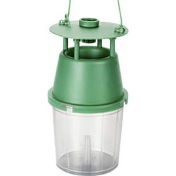 Gardigo - 66680INT attractif Piège pour pyrale du buis (ø x h) 11 cm x 22 cm vert, transparent 1 pc(s) W922023
