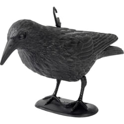 Gardigo - Corbeau anti-pigeons Type de fonctions effet dissuasif 1 pc(s) W299233