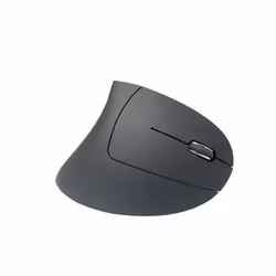 MediaRange MROS232, Droitier, Conception verticale, Optique, RF sans fil, 1600 DPI, Noir