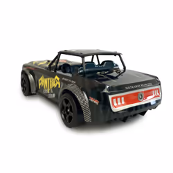 Amewi Panther Pro modèle radiocommandé Voiture de drift Moteur électrique 1:16