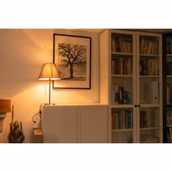 Segula 55216 ampoule LED 3 W E14 F