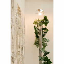 Segula 55490 ampoule LED 6,5 W E27 F
