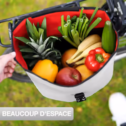 VALKENTAL ValkBasic Arrière Sacoche pour bicyclette 20 L Bâche Gris